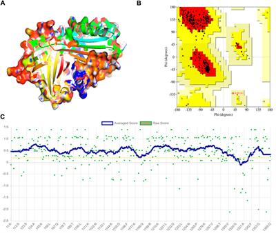 Structural characterization and conformational dynamics of alpha-1 antitrypsin pathogenic variants causing alpha-1-antitrypsin deficiency